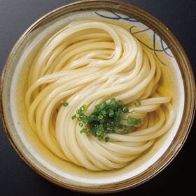 ＜シンプル百科＞【8食】讃岐生うどん（麺のみ）