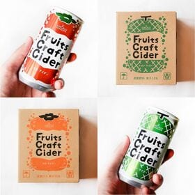 【200ml×アソート60缶】フルーツクラフトサイダー（カキ／メロン）山形食品