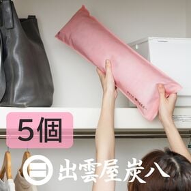 調湿木炭「炭八」押入用（ピンク）×5袋