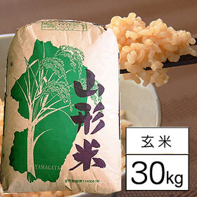 【30kg】令和7年産 山形県内陸産 雪若丸 1等玄米 | 山形から元気なお米。