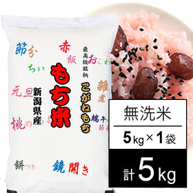【5kg】令和7年産 もち米 新潟県産 こがねもち 無洗米