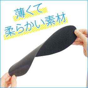 【2個セット】Dr. Scholl ドクターショール 強力消臭・抗菌 インソール