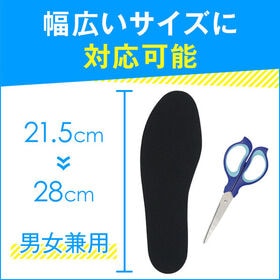 【2個セット】Dr. Scholl ドクターショール 強力消臭・抗菌 インソール