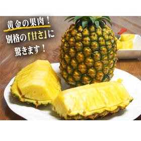 【予約受付】5/25~順次出荷【5kg(2~5玉)】石垣島産パイン「ゴールドバレル」