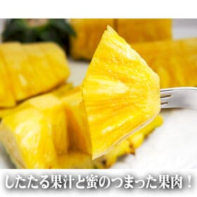 【予約受付】5/25~順次出荷【5kg(2~5玉)】石垣島産パイン「ゴールドバレル」