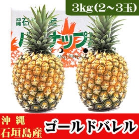 【予約受付】5/25~順次出荷【3kg(2~3玉)】石垣島産...