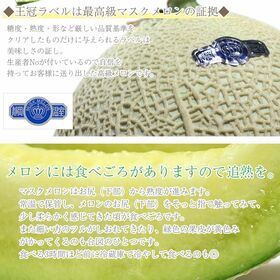 【約1.2kg】静岡クラウンメロン　A・B等級　ご家庭用
