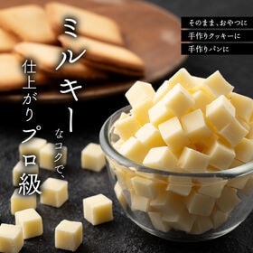 【1kg(500g×2)】ホワイトショコラ（業務用準チョコレート）キューブタイプで扱いやすい【冷蔵】