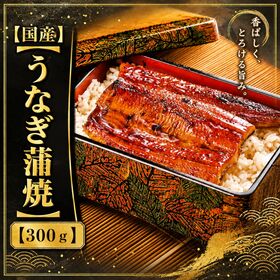 【計300g(2尾-3尾)】鹿児島県産 はねだしうなぎ蒲焼き
