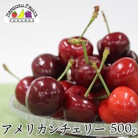 【アメリカ】500g  アメリカンチェリー