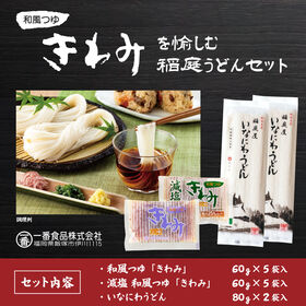 【80g×2人前】稲庭うどん 和風つゆきわみと減塩和風つゆきわみの食べ比べセット | 大人も子供ついつい飲み干したくなる旨い麺つゆ！2種のつゆで稲庭うどんを食べ比べ