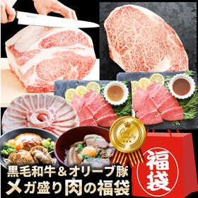 【計1.48kg】肉の福袋＜計6種 食べ比べ＞メガ盛り！ゴールド福袋！ | 日頃のご愛顧に感謝！！黒毛和牛入り！人気のお肉豪華福袋！