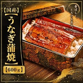 【計600g(4尾-6尾)/300g(2-3尾)×2p】鹿児島県産 はねだしうなぎ蒲焼き