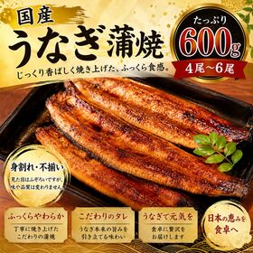 【計600g(4尾-6尾)/300g(2-3尾)×2p】鹿児島県産 はねだしうなぎ蒲焼き