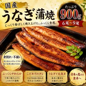 【計900g(6尾-9尾)/300g(2-3尾)×3p】鹿児島県産 はねだしうなぎ蒲焼き