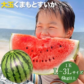 【予約受付】5/25~順次出荷【1玉6kg以上】熊本県産大玉すいか（ご家庭用） | 子ども大喜びの大玉サイズ！