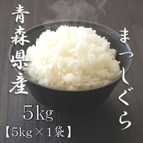 【5kg】[精米] 令和7年産 青森県産 まっしぐら 白米