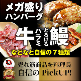 【7種/銅メダル】メガ盛り 肉の福袋 ＜焼くだけ＆レンジ＞総重量2.1kg超！