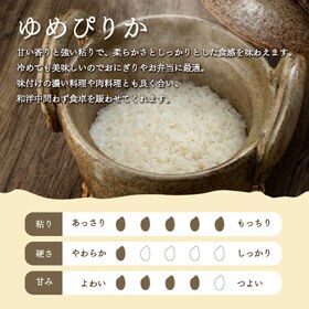 【計10kg/2kg×5袋】[精米]令和7年産 北海道産 ゆめぴりか 白米