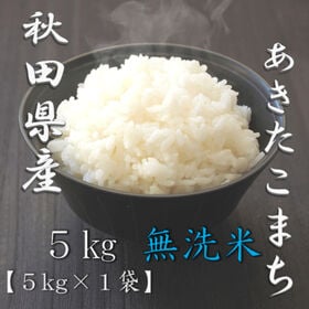 【5kg】[精米] 令和7年産 秋田県産 あきたこまち 無洗米