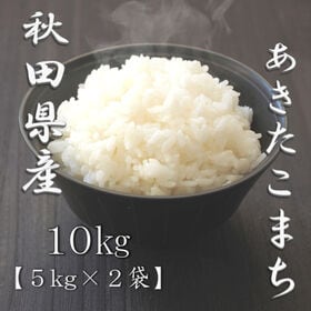 【計10kg/5kg×2袋】[精米] 令和7年産 秋田県産 あきたこまち 白米