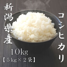 【計10kg/5kg×2袋】[精米] 令和7年産 新潟県産コシヒカリ 白米