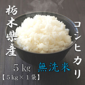 【5kg】[精米]令和7年産 栃木県産コシヒカリ 無洗米