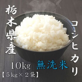 【計10kg(5kg×2袋)】[精米]令和7年産 栃木県産コシヒカリ 無洗米