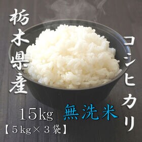 【計15kg(5kg×3袋)】[精米]令和7年産 栃木県産コシヒカリ 無洗米