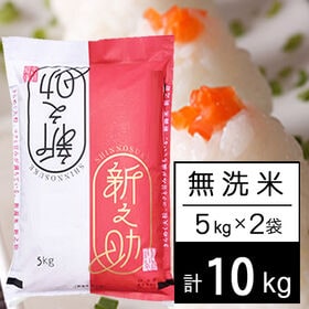 【計10kg/5kg×2袋】令和7年産 新潟県中越産 新之助 無洗米