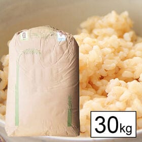 【30kg】令和7年産 日本名水100選 山梨県産 白州米 コシヒカリ 1等玄米