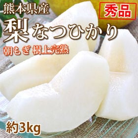 【予約受付】7/21~順次出荷【約3kg 7~11玉】熊本県...