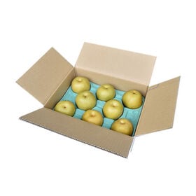 【予約受付】7/21~順次出荷【約3kg 7~11玉】熊本県産 梨 なつひかり 秀品