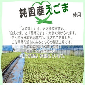 【10袋 1kg】えごまパウダー 10袋 (100g×10) 国産えごま使用