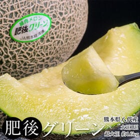 【約1.6kg(1玉)/2~4Lサイズ】熊本県産 肥後グリーン | 地元熊本で人気を博する高糖度大玉メロン！収穫の目安は糖度16度!!