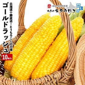 【予約受付】7/15~順次出荷【10本入】とうもろこしの王 様 北海道産 ゴールドラッシュ