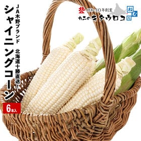 【予約受付】8/1~順次出荷【6本入】まるでフルーツ? 畑のスイーツ♪シャイニングコーン