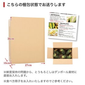 【予約受付】8/1~順次出荷【6本入】まるでフルーツ? 畑のスイーツ♪シャイニングコーン