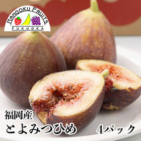 【福岡】4パック    とよみつひめ（無花果） | 福岡限定生産の高品質ブランドいちじく！