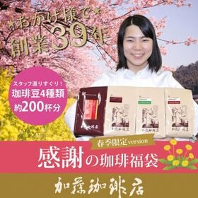 【計2kg(500g×4種)】感謝の珈琲飲み比べ 春季限定v...