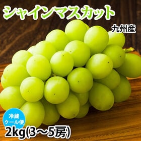 【予約受付】7/24~順次出荷〈クール便でお届け〉【2kg3~5房】九州産シャインマスカット