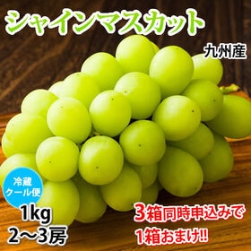 【予約受付】7/24~順次出荷〈クール便でお届け〉【1kg 2~3房】九州産シャインマスカット