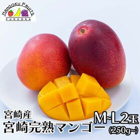 【宮崎】M~L2玉　完熟マンゴー | 太陽の恵みを燦燦と浴びて、今年も真っ赤に育ちました。