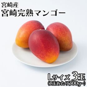 【宮崎】L3玉　完熟マンゴー | 太陽の恵みを燦燦と浴びて、今年も真っ赤に育ちました。