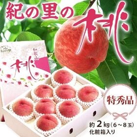 【予約受付】7/6~順次出荷【約2kg(6~8玉)】和歌山産 特秀品 『紀の里の桃』 化粧箱