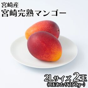 【宮崎】2L2玉　完熟マンゴー | 太陽の恵みを燦燦と浴びて、今年も真っ赤に育ちました。