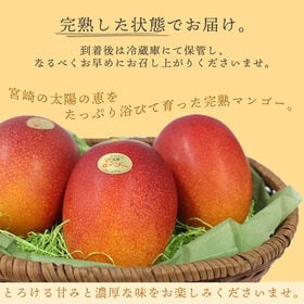 【宮崎】2L2玉　完熟マンゴー