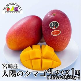【宮崎】4L1玉　完熟マンゴー ・太陽のタマゴ | 宮崎完熟マンゴーの中でも最上級！　濃厚な甘さと滑らかな味わい！