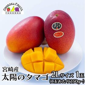 【宮崎】2L1玉　完熟マンゴー ・太陽のタマゴ | 宮崎完熟マンゴーの中でも最上級！　濃厚な甘さと滑らかな味わい！