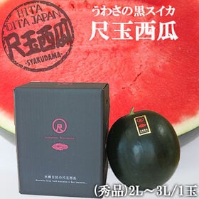 【予約受付】7/2~順次出荷【3L(1玉8-9kg)/大玉】...